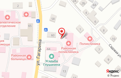 Опочецкая межрайонная больница на улице Гагарина на карте