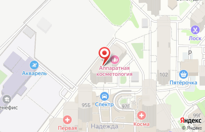 Интернет-магазин Пасека Толчевых на карте