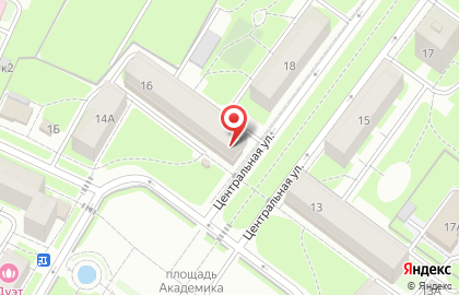 Зоомаркет Лори на Центральной улице, 16 на карте