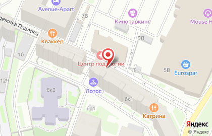 Правовой Кадастровый Центр на улице Академика Павлова на карте