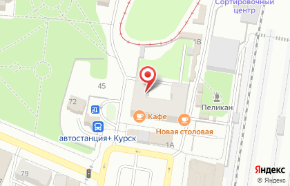 Ателье по ремонту и пошиву одежды в Курске на карте