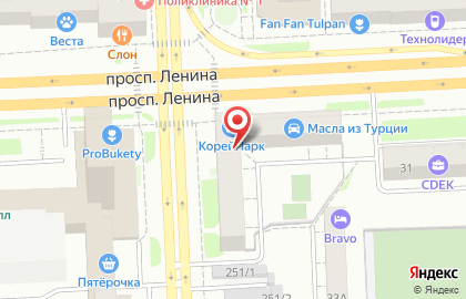 Федеральная риэлторская компания Этажи на проспекте Ленина на карте
