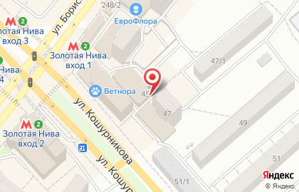 Респект на улице Кошурникова на карте
