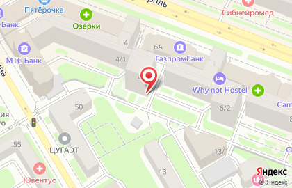 Интернет-магазин Лабиринт в Новосибирске на карте