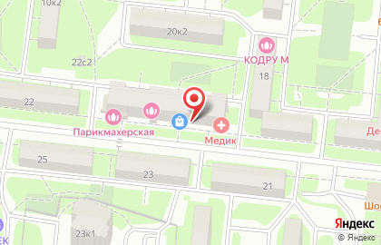 Звенящие кедры России на Нелидовской улице на карте