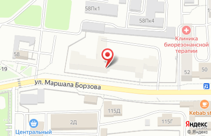 Кафе Лидер на улице Маршала Борзова на карте