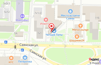 Магазин сантехники и инструментов и инструментов на Саянской улице на карте