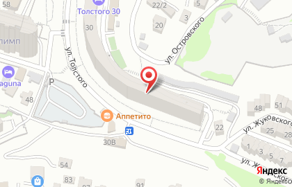 Толстого, 30, ТСЖ на карте