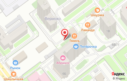 Продуктовый магазин на проспекте Генерала Тюленева на карте