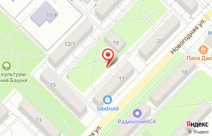 Итнернет-магазин Sibdroid.ru на карте