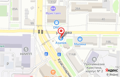 Азалия на улице Усова на карте