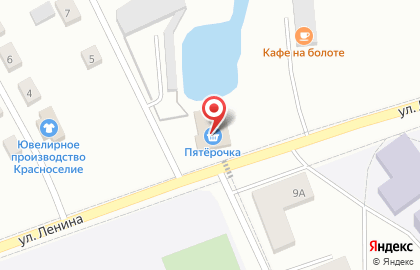 Супермаркет Пятёрочка на улице Ленина на карте