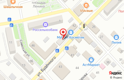 Ростехинвентаризация-Федеральное БТИ на улице Будённого на карте