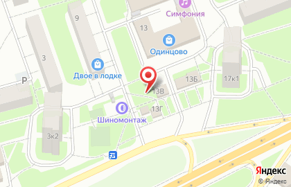 Многопрофильная фирма Ауто Нита на Можайском шоссе на карте
