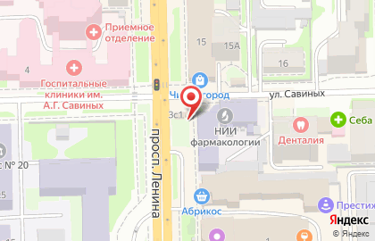 Магазин 33 пингвина на проспекте Ленина на карте