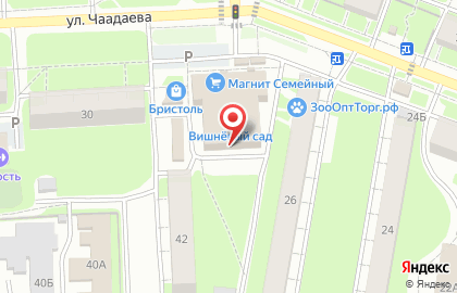 NNSoap на улице Чаадаева на карте