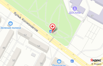 Магазин разливных напитков Жажда на бульваре Космонавтов на карте