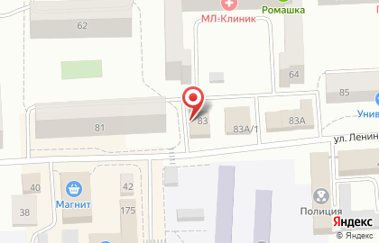 Алкоритм на улице Ленина на карте