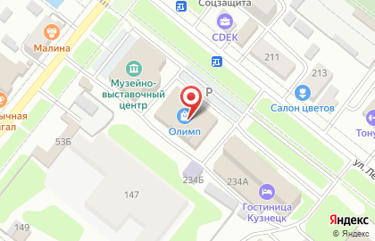 Супермаркет Пятёрочка на улице Ленина на карте