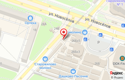 Зоомагазин Рыжий кот на улице Новосёлов на карте