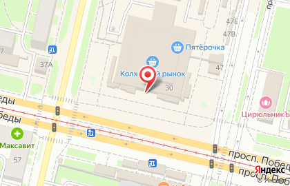 Магазин зоотоваров на улице Максима Горького на карте