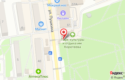 Г. Искитим Киоск по продаже фруктов и овощей на улице Пушкина на карте