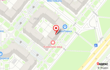 Высокий Стандарт на карте