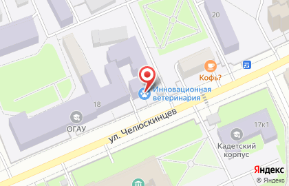 Ветеринарный центр Инновационная ветеринария на карте
