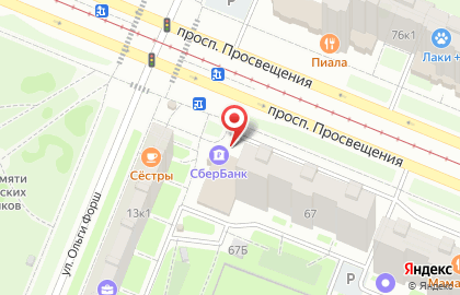 Терминал СберБанк на проспекте Просвещения, 67 на карте