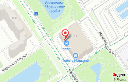 Шинный центр Vianor на Мячковском бульваре на карте
