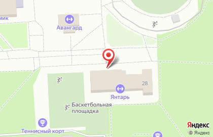ДЮСШ Лидер на карте