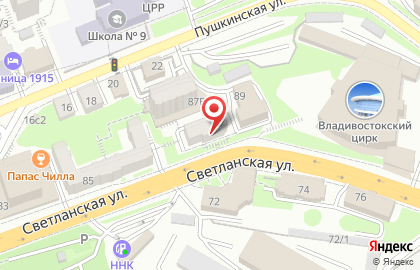 Туристическая компания Пегас Туристик на Светланской улице на карте