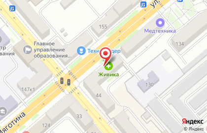 Магазин Мясной №1 в Кургане на карте