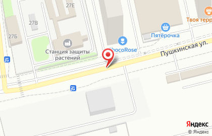 ДемонтажИнжСтрой на Пушкинской улице на карте