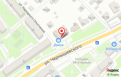 Ветеринарная аптека Дикси на улице Чернышевского на карте
