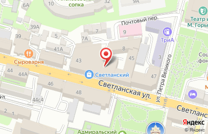 Магазин Zarina на Светланской улице на карте
