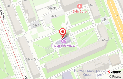 Спутник, Петроградский район на карте