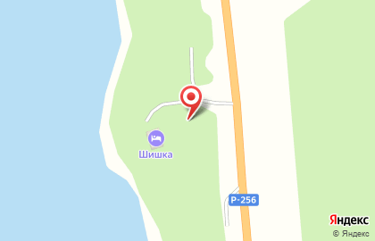 Парк-отель Шишка в Барнауле на карте