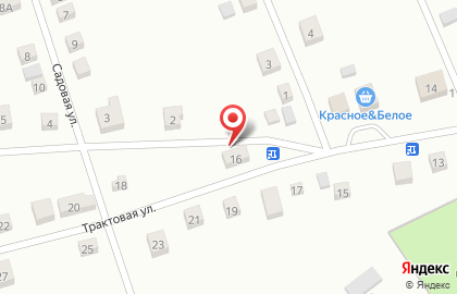 Магазин разливных напитков Лидер на Трактовой улице на карте