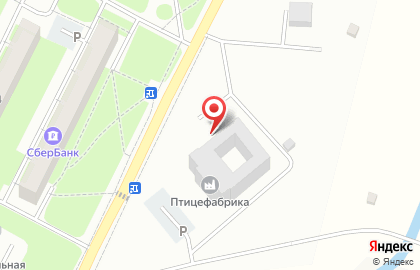 Ломоносовский цыпленок на карте