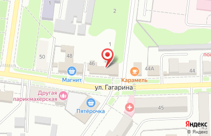 Магазин зоотоваров Котофей на улице Гагарина на карте