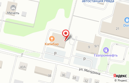 Торговая компания Аргус на улице Мичурина на карте