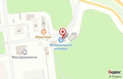 Ветеринарная клиника ZooMarkt на Трудовой улице на карте