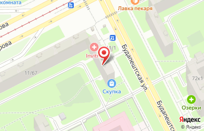 Ортопедический салон Ortopediya24.ru на Будапештской улице, 67 на карте