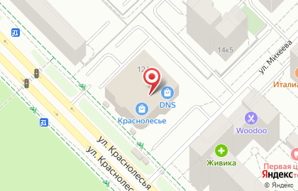 E96.ru на улице Краснолесья на карте