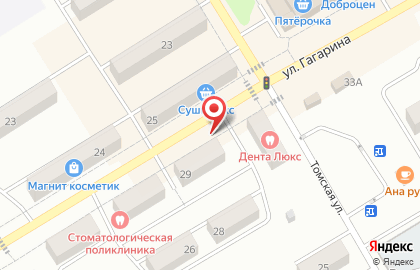 Салон цветов Цветочки на улице Гагарина на карте