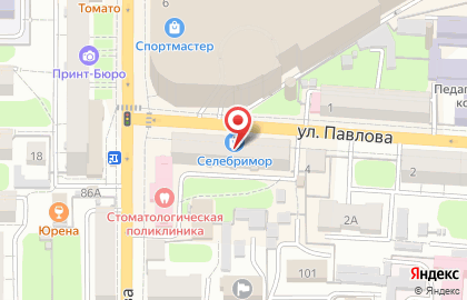 Интеллект Образование XXI на улице Павлова на карте