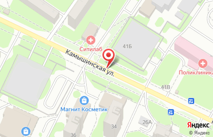 Серега на Камышинской улице на карте
