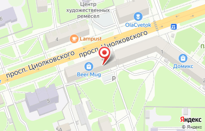 Нижегородский филиал Банкомат, БИНБАНК кредитные карты на проспекте Циолковского, 3 в Дзержинске на карте