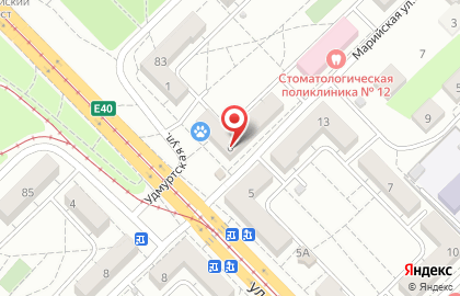 Ветеринарная клиника на Марийской улице на карте